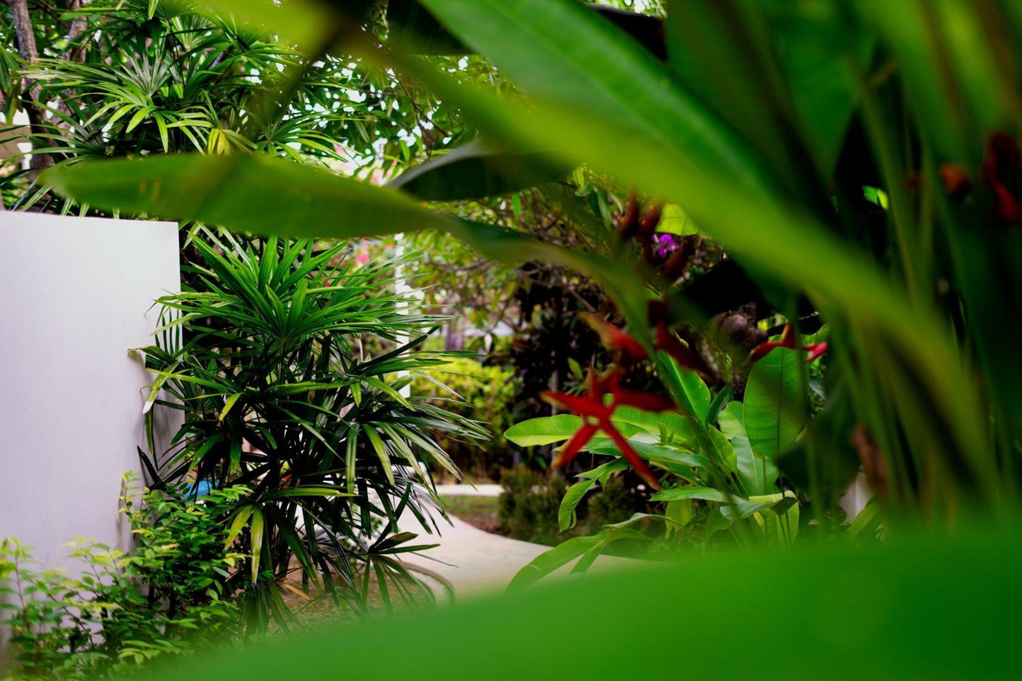 Orchid Lodge Samui - Bed & Breakfast Lamai Beach  Exteriör bild