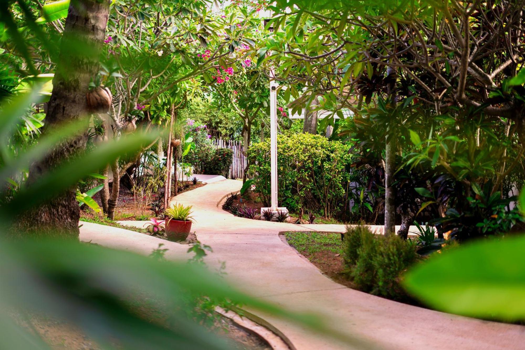 Orchid Lodge Samui - Bed & Breakfast Lamai Beach  Exteriör bild